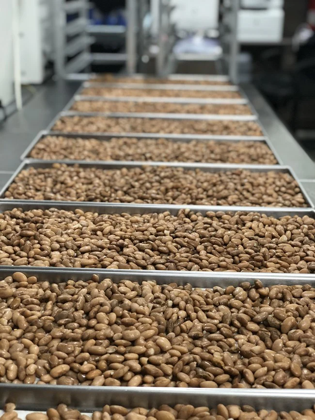 Freeze Dried Fully Cooked Pinto Beans - Image 4