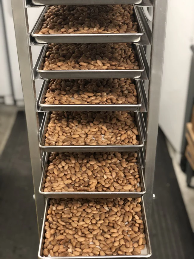 Freeze Dried Fully Cooked Pinto Beans - Image 5