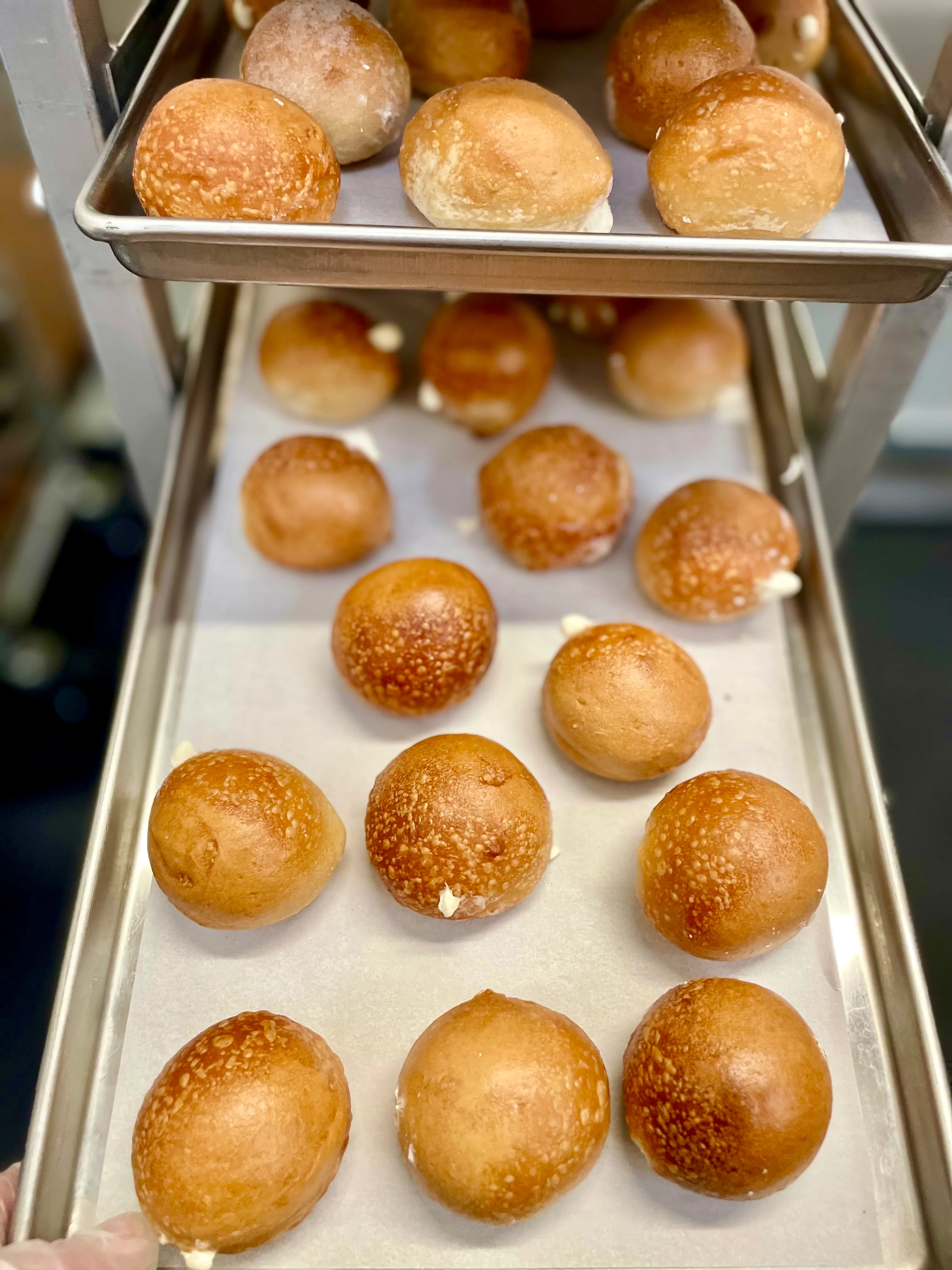 LIMITED PRODUCTION Freeze Dried Fully Cooked Plain Cream Cheese Stuffed Bagel Bites - Image 7