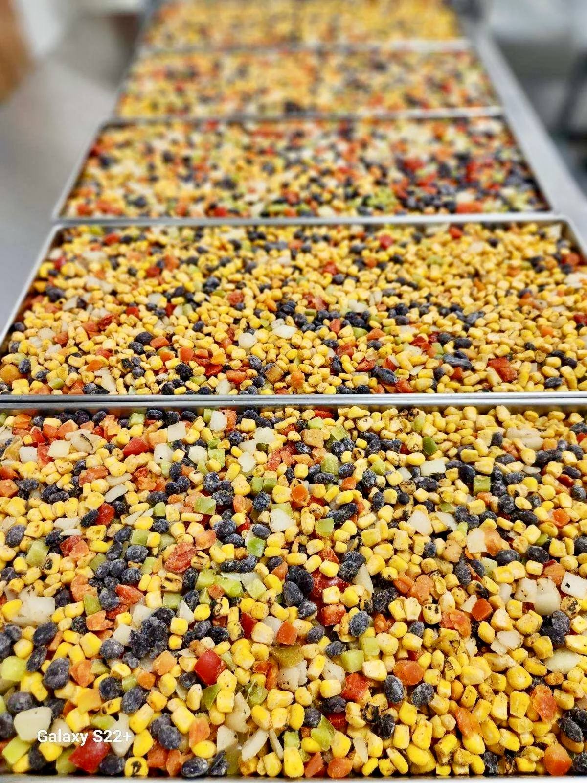 Freeze Dried Fully Cooked Roasted Corn and Black Bean Fiesta Blend - Image 5