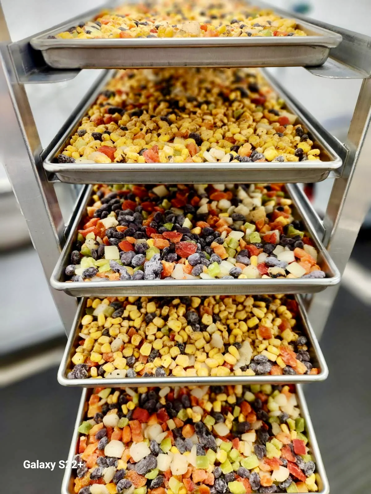 Freeze Dried Fully Cooked Roasted Corn and Black Bean Fiesta Blend - Image 6