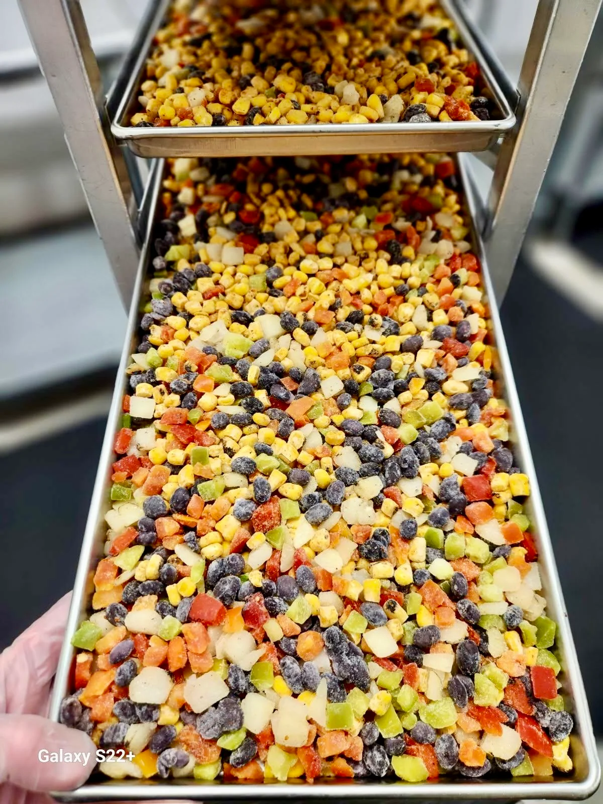 Freeze Dried Fully Cooked Roasted Corn and Black Bean Fiesta Blend - Image 7