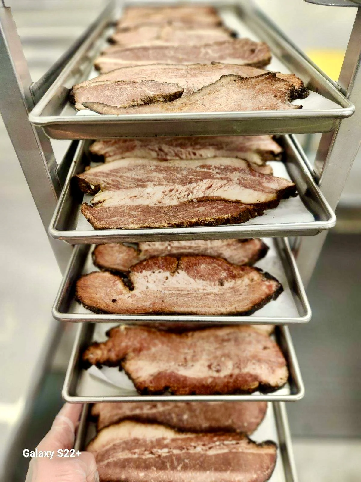 Freeze Dried Fully Cooked Sliced Smoked Beef Brisket - Image 6