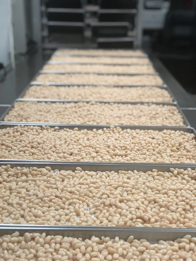 Freeze Dried Fully Cooked Small White Navy Beans - Image 4