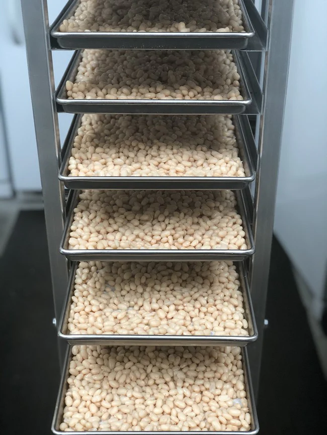 Freeze Dried Fully Cooked Small White Navy Beans - Image 5