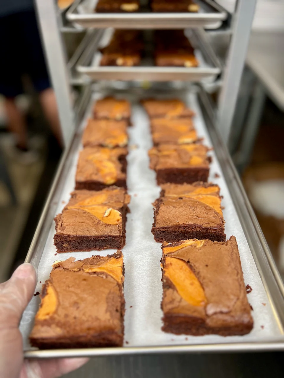 Freeze Dried Fully Cooked Gourmet Cheesecake Brownies - Image 5