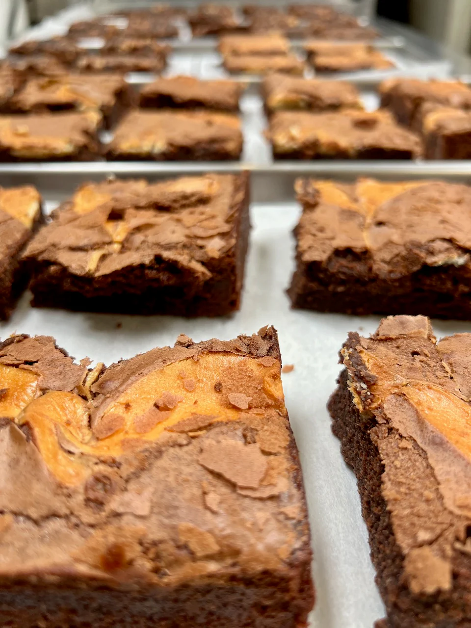 Freeze Dried Fully Cooked Gourmet Cheesecake Brownies - Image 7