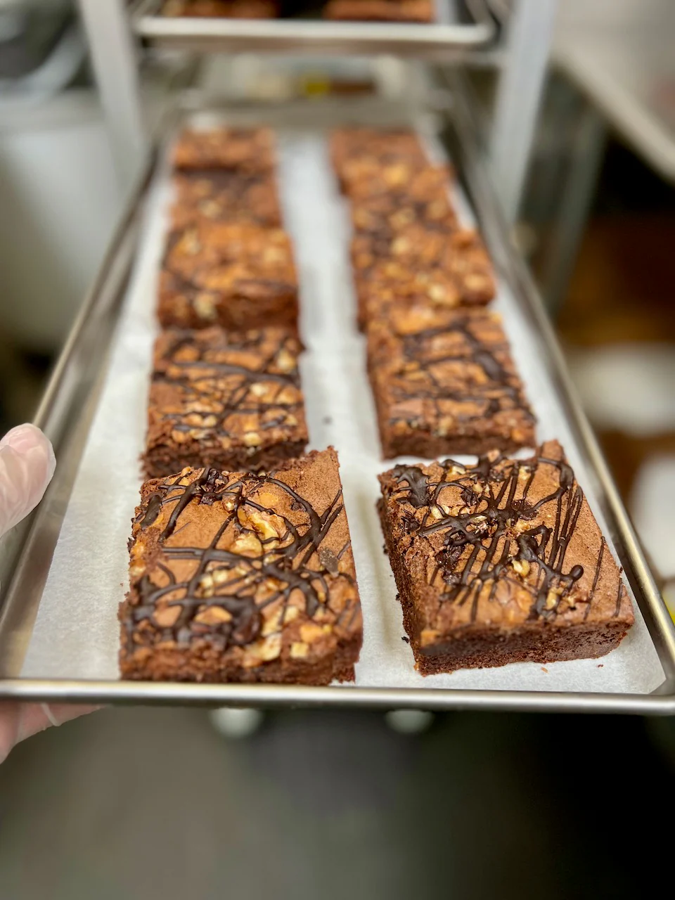 Freeze Dried Fully Cooked Gourmet Rocky Road Brownies - Image 6