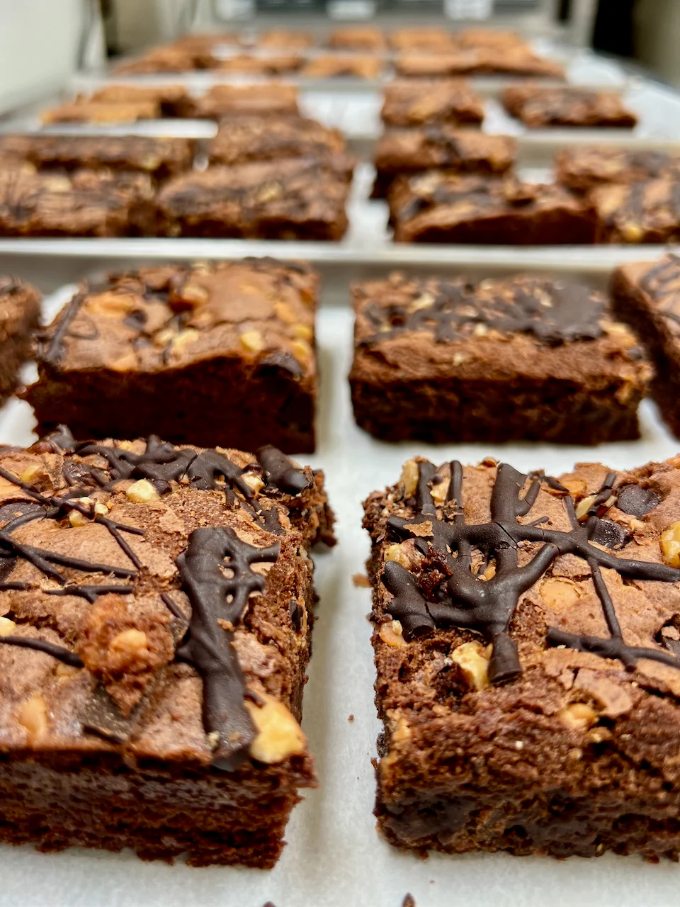 Freeze Dried Fully Cooked Gourmet Rocky Road Brownies - Image 8