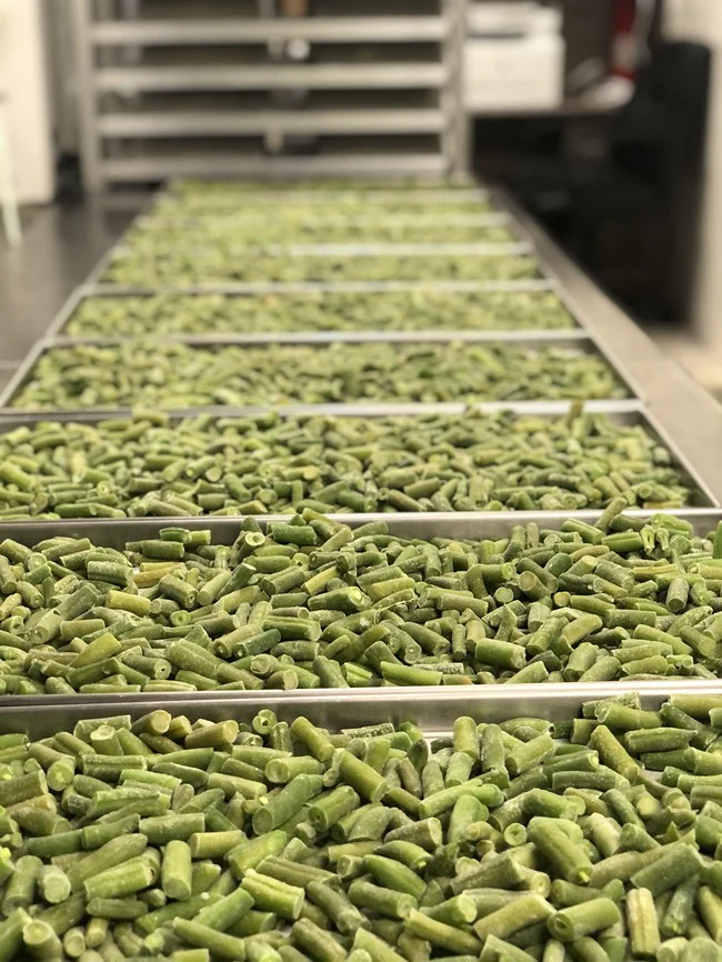 Freeze Dried Cut Green Beans - Image 4