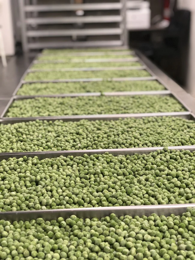 Freeze Dried Green Peas - Image 4