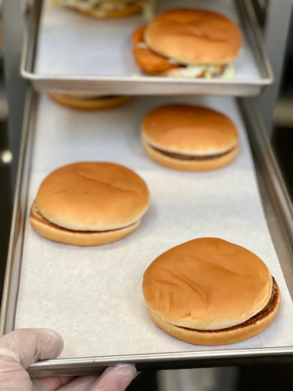 [Pre-Sale] Freeze Dried Hamburger - Image 3
