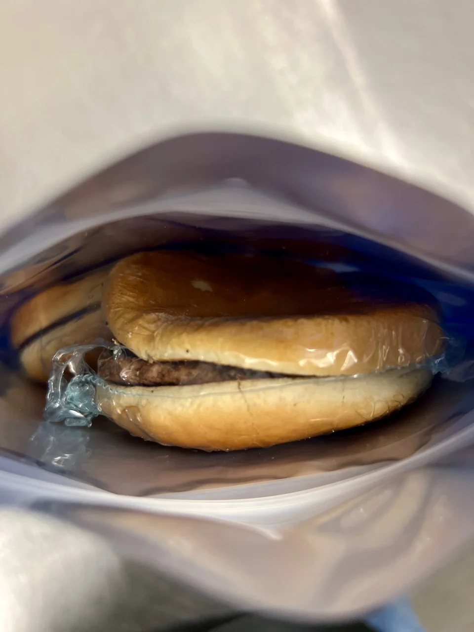[Pre-Sale] Freeze Dried Hamburger - Image 4