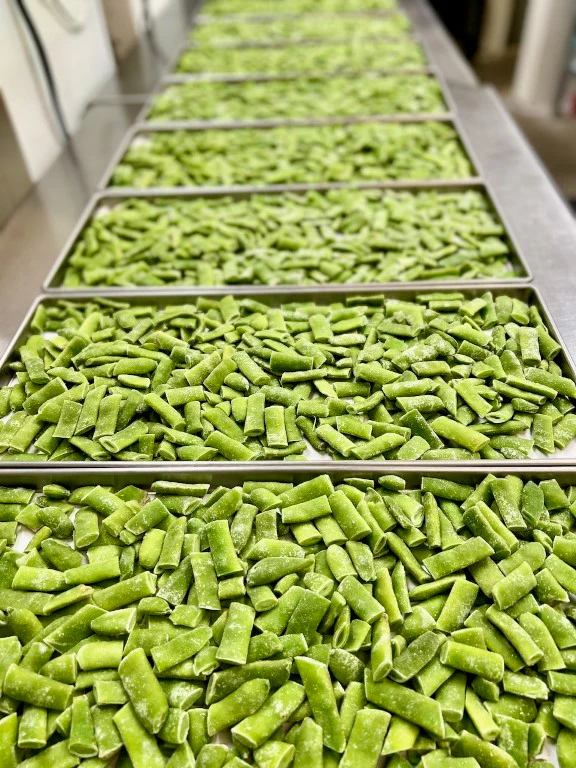 Freeze Dried Italian Green Beans - Image 5