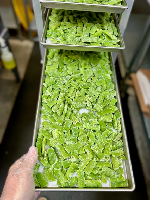 Freeze Dried Italian Green Beans - Image 7