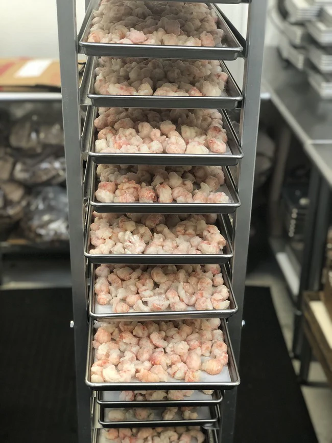 Freeze Dried Langoustines - Image 5