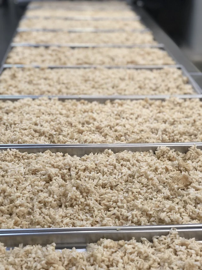Freeze Dried Long Grain Brown Rice - Image 4