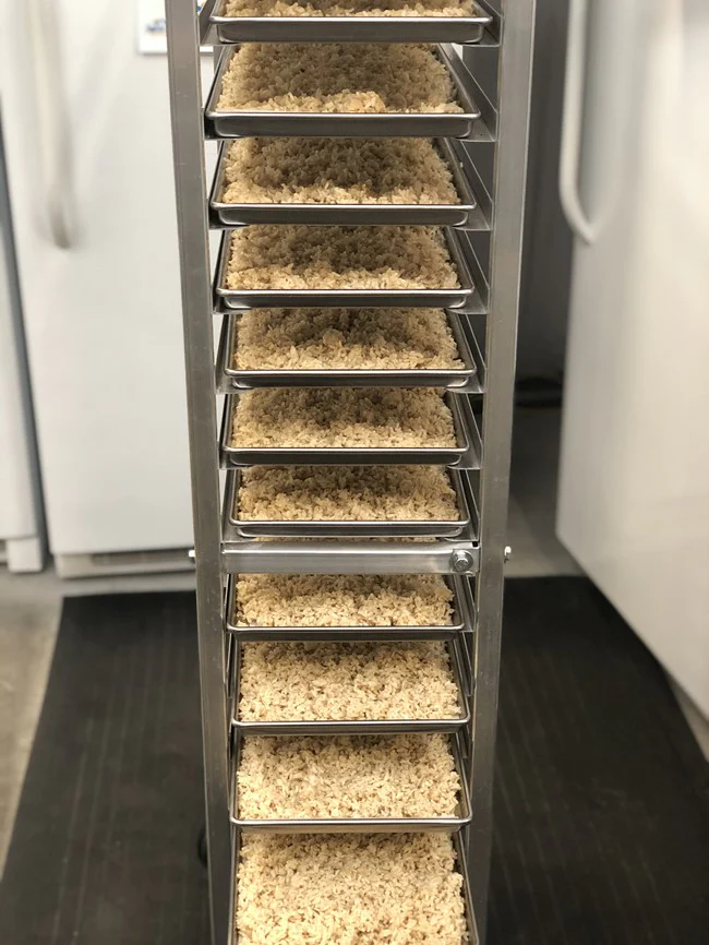 Freeze Dried Long Grain Brown Rice - Image 5