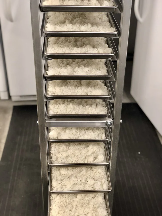 Freeze Dried Long Grain White Rice - Image 5