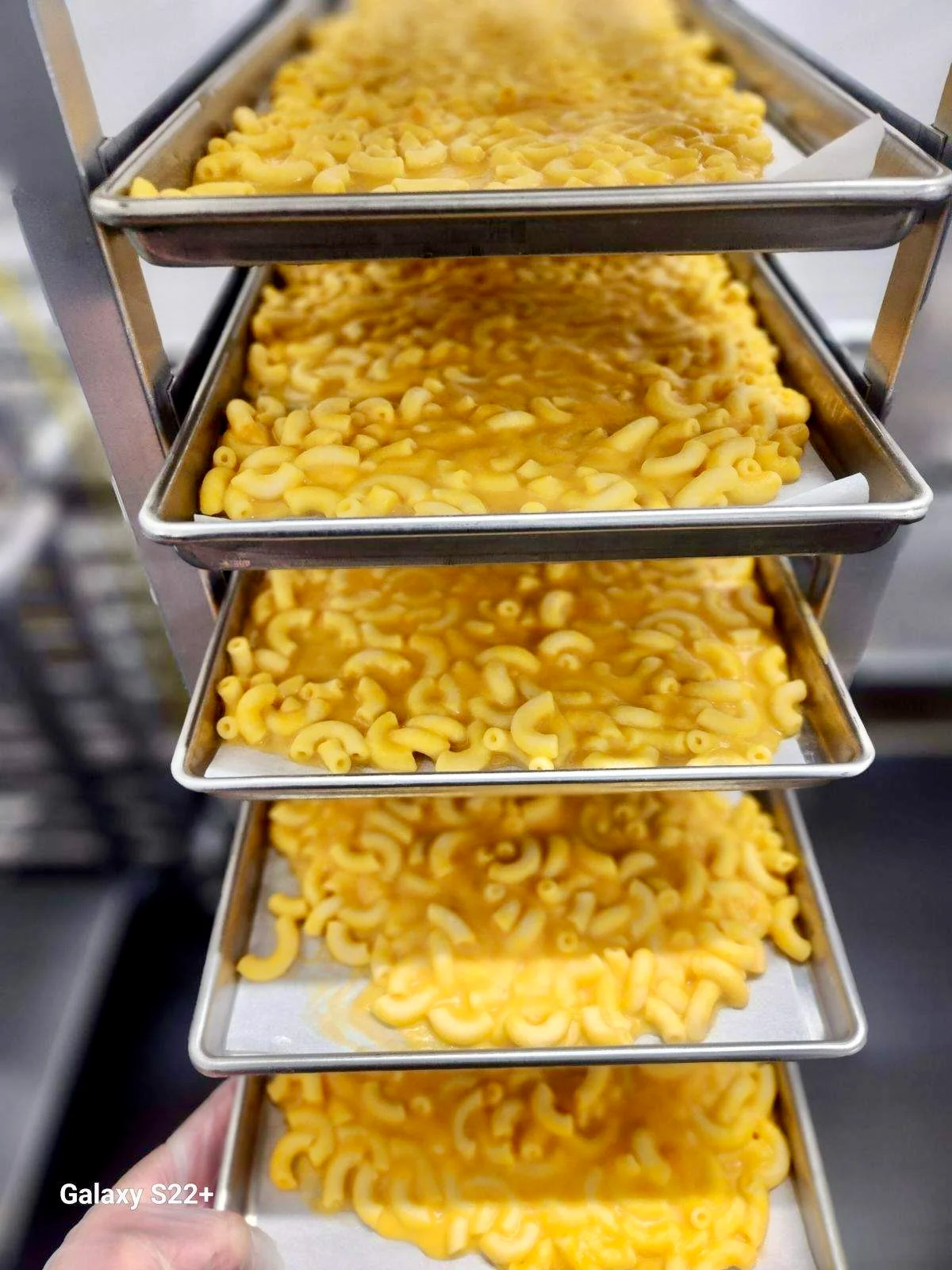 Freeze Dried Macaroni and Cheese - Image 5