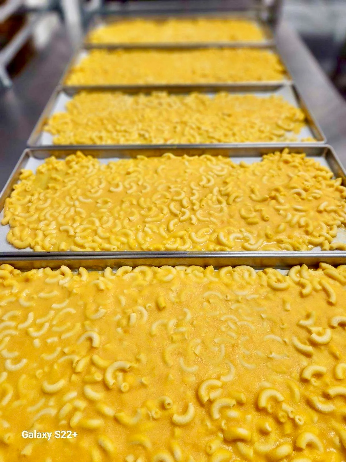 Freeze Dried Macaroni and Cheese - Image 6