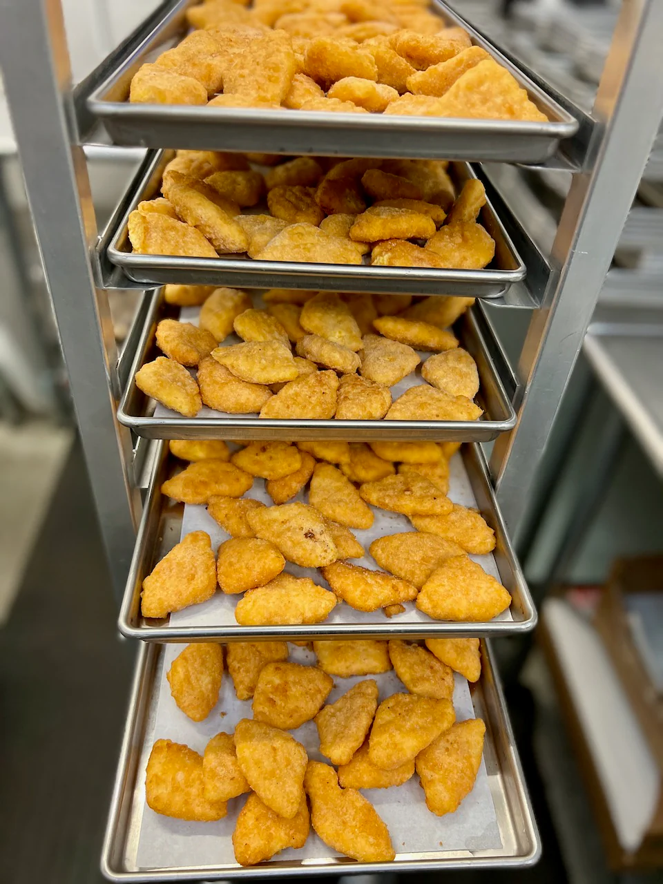 Freeze Dried Macaroni and Cheese Wedges - Image 5
