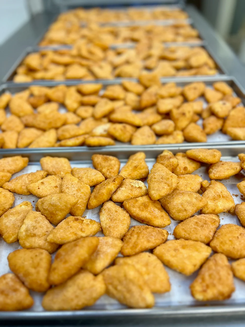 Freeze Dried Macaroni and Cheese Wedges - Image 7