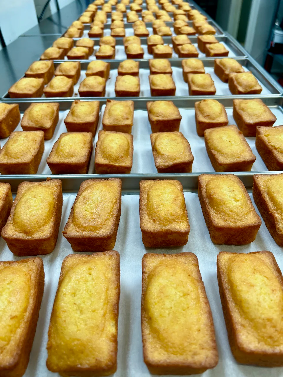 Freeze Dried Mini Cornbread Loaves - Image 5