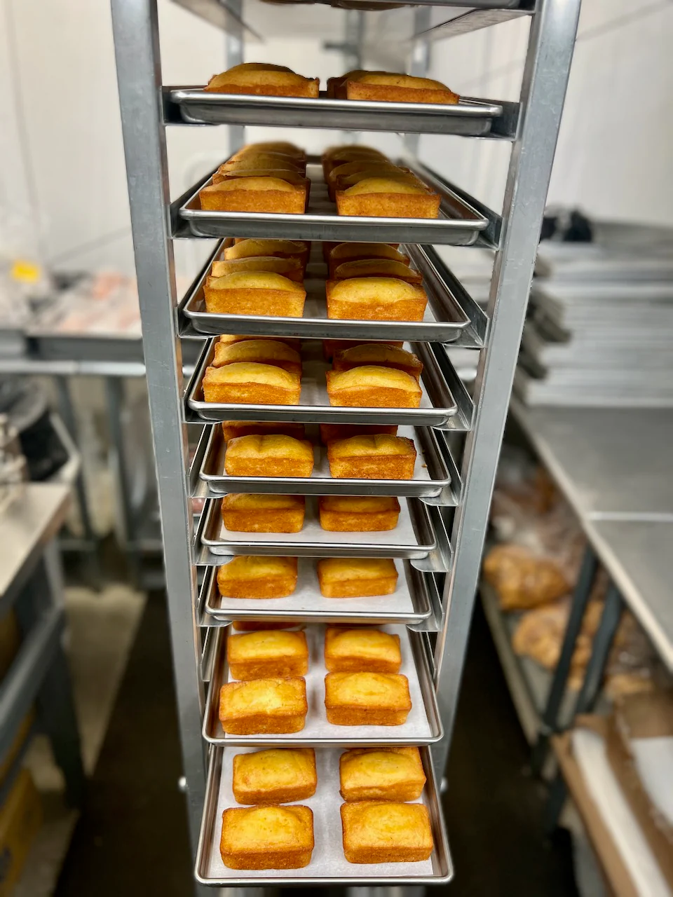 Freeze Dried Mini Cornbread Loaves - Image 6