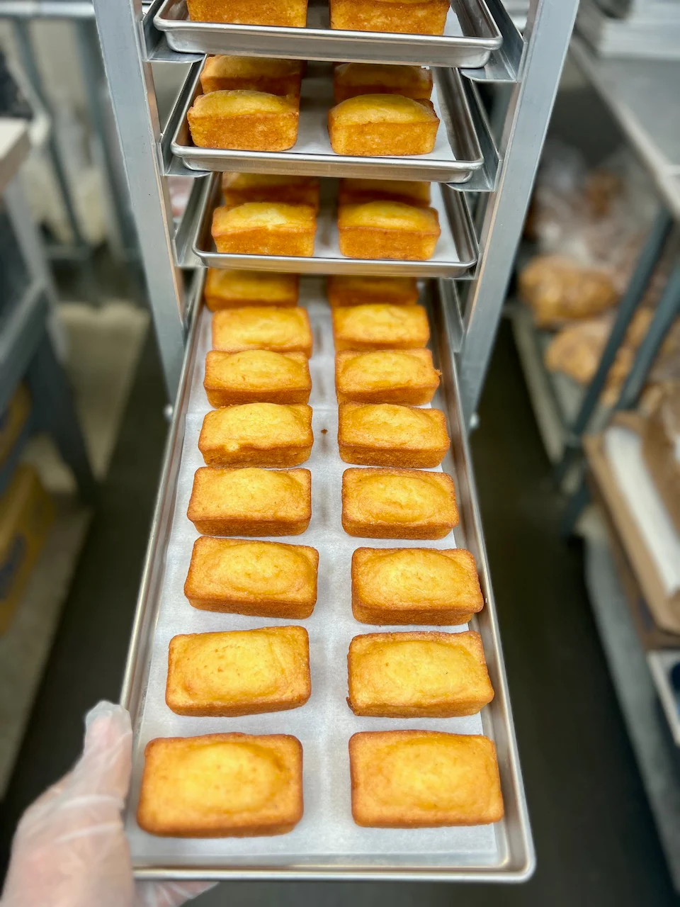 Freeze Dried Mini Cornbread Loaves - Image 7