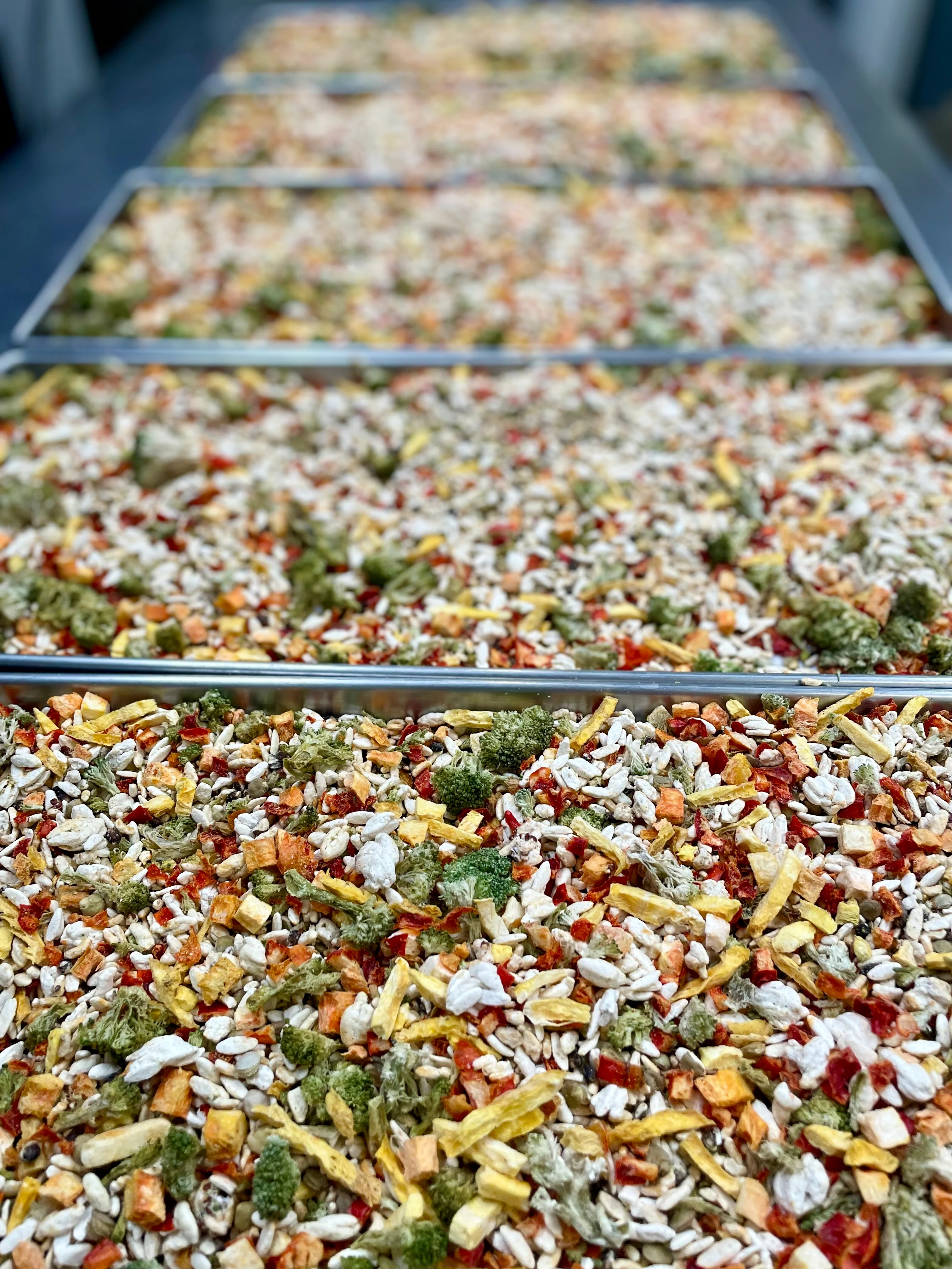 Freeze Dried Multi-Grain Orzo, Red Quinoa and Vegetable Blend - Image 5
