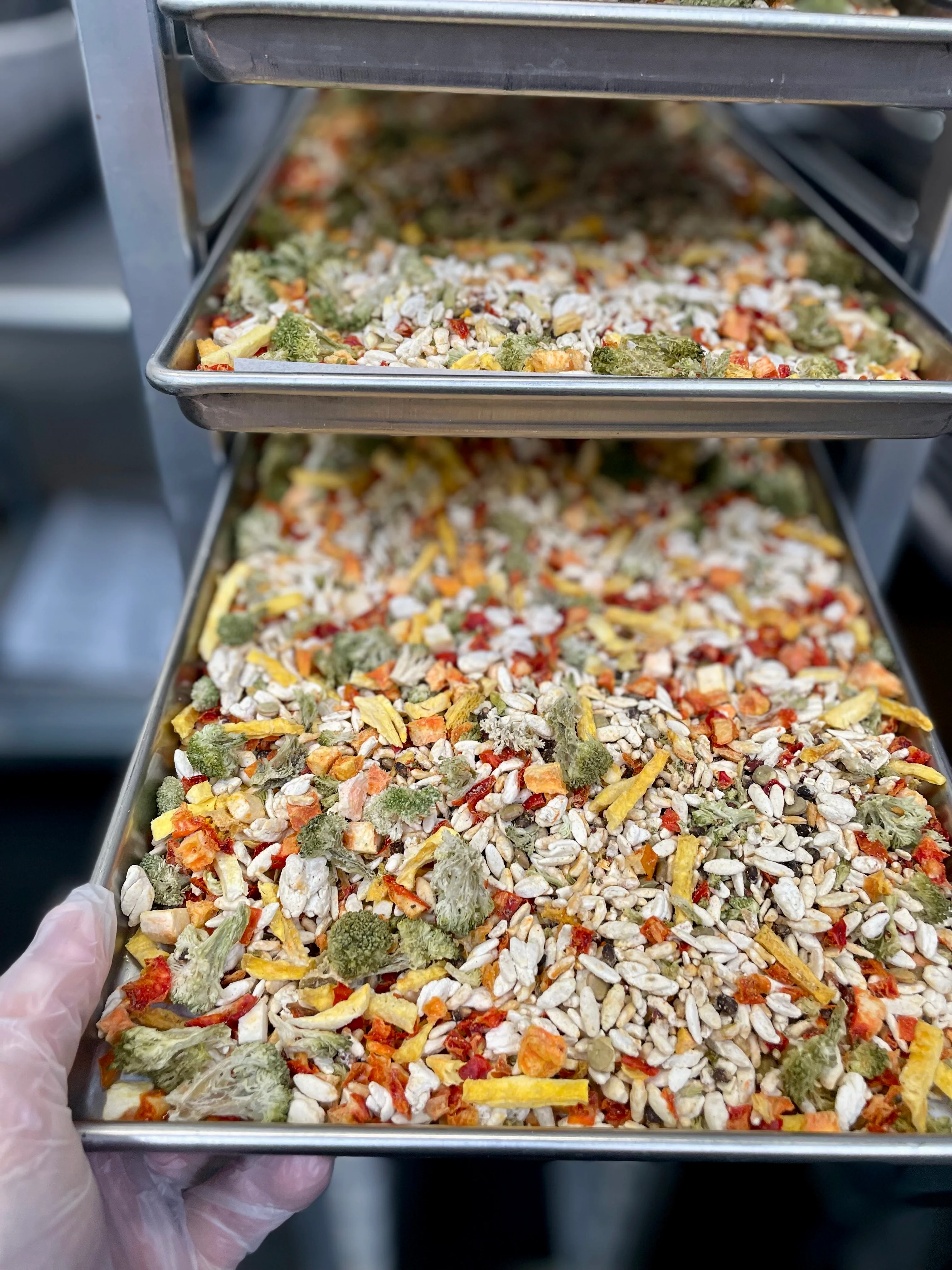 Freeze Dried Multi-Grain Orzo, Red Quinoa and Vegetable Blend - Image 6