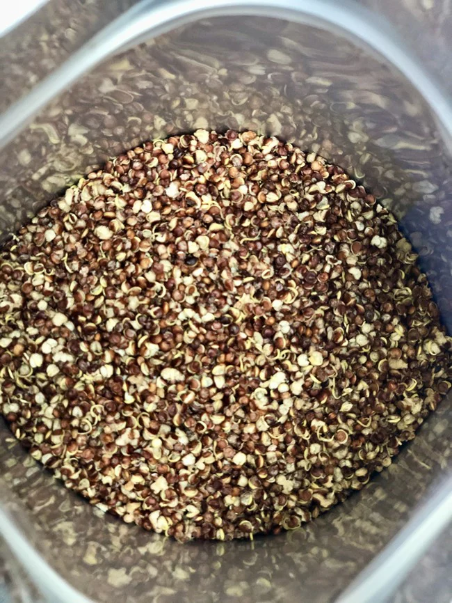 Freeze Dried Organic Red Quinoa - Image 3