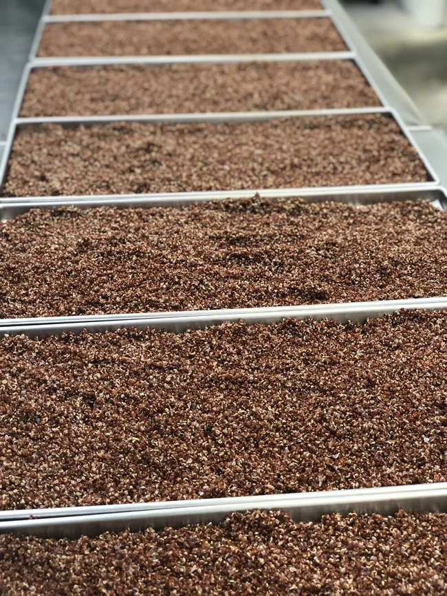 Freeze Dried Organic Red Quinoa - Image 4