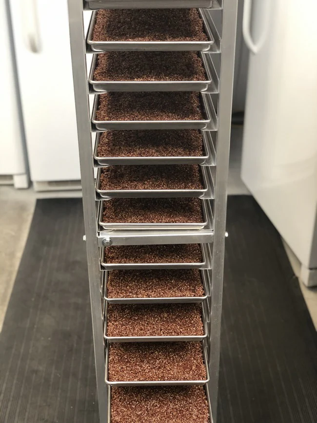Freeze Dried Organic Red Quinoa - Image 5