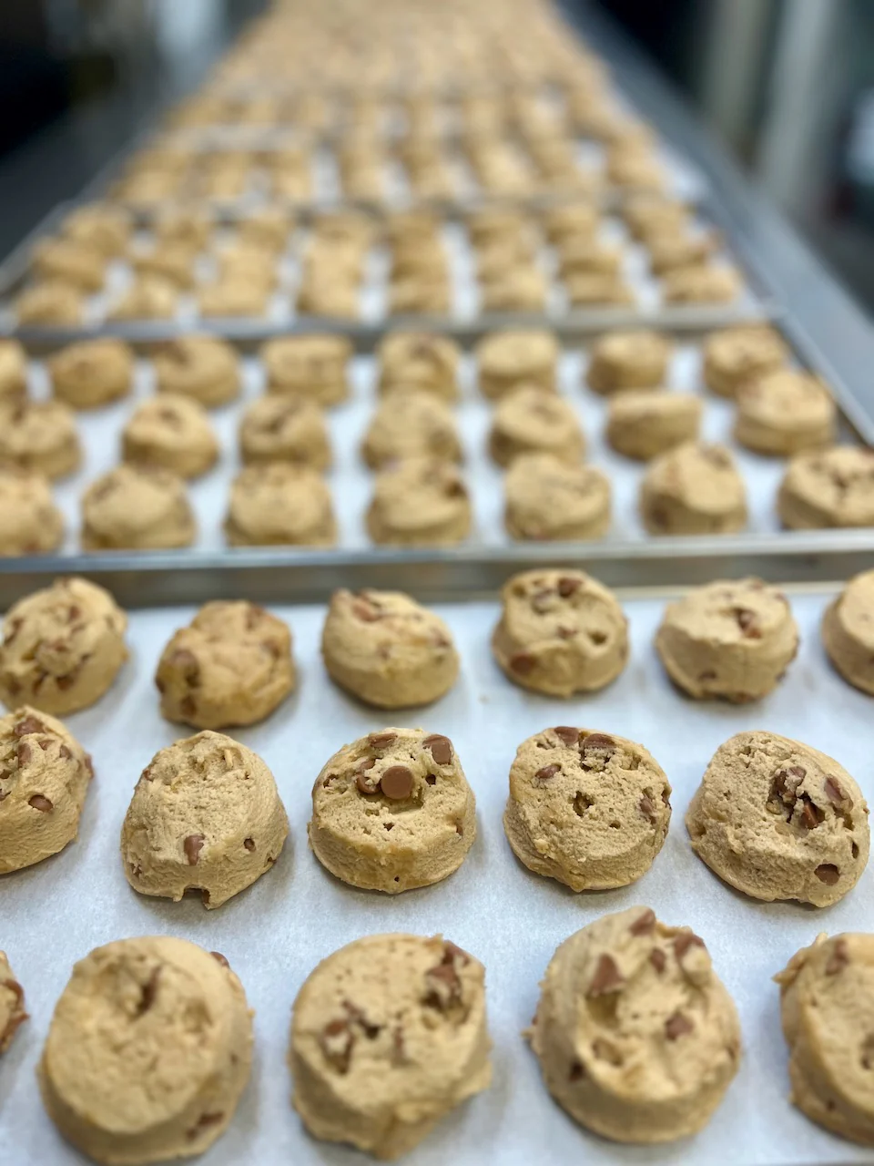 Freeze Dried Peanut Butter Chip Cookie Dough - Image 5