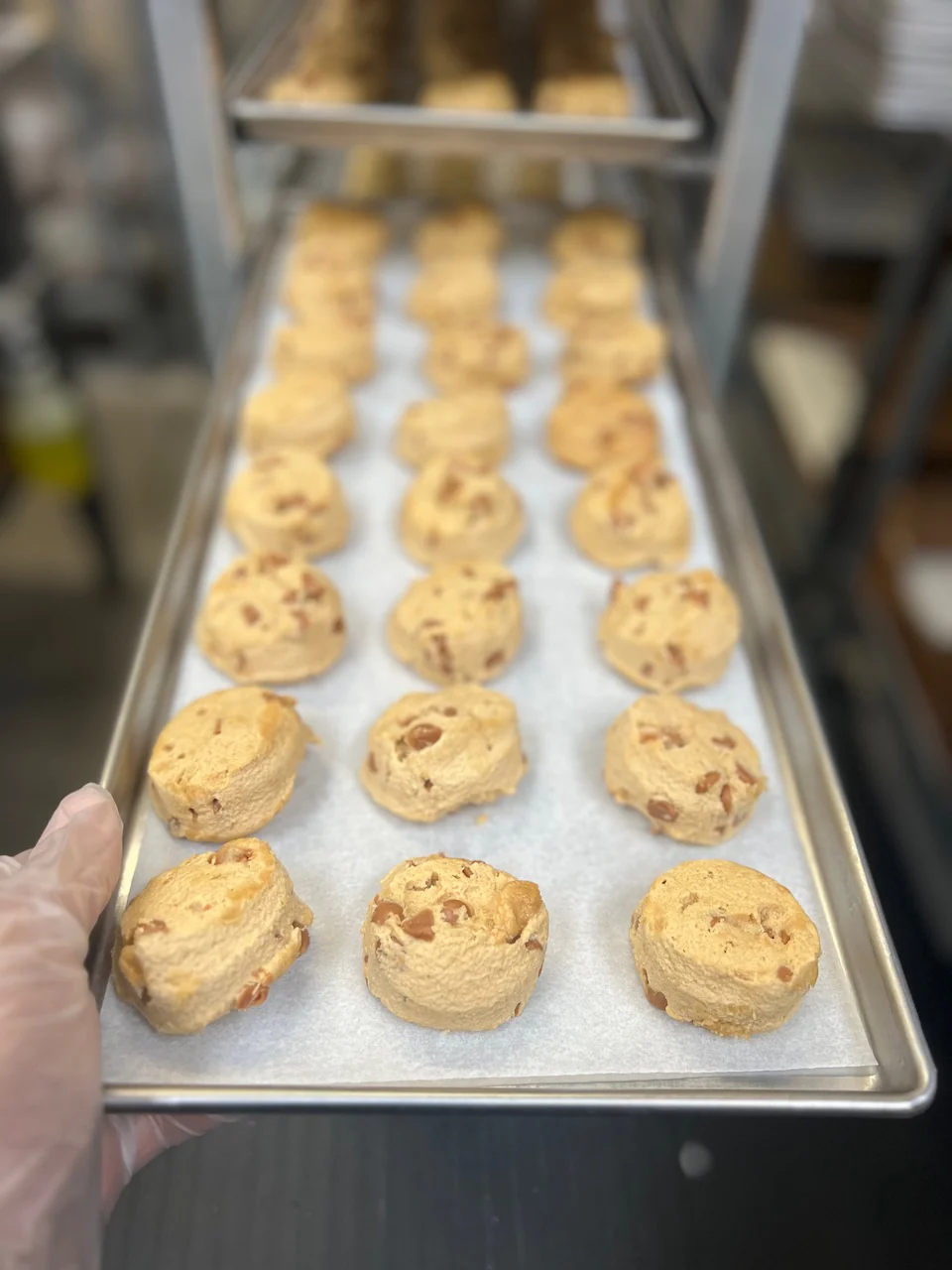 Freeze Dried Peanut Butter Chip Cookie Dough - Image 6