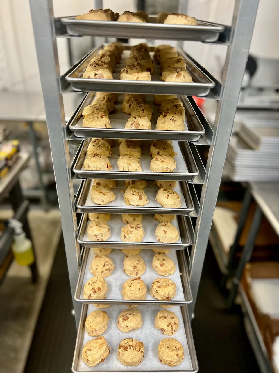 Freeze Dried Peanut Butter Chip Cookie Dough - Image 7