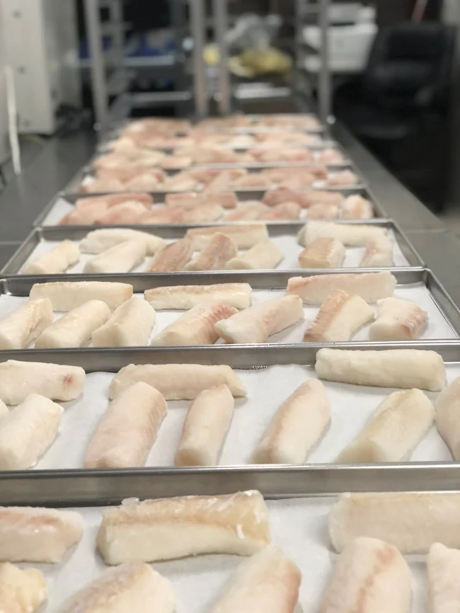 Freeze Dried Pollock Loins - Image 4