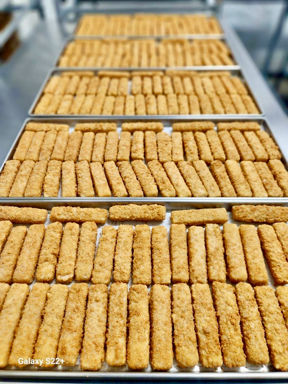 Freeze Dried Uncooked Wild Caught Alaskan Pollock Fish Sticks - Image 5