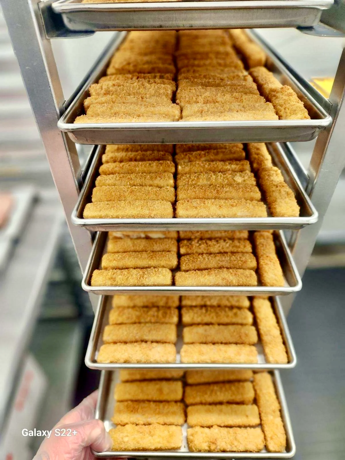 Freeze Dried Uncooked Wild Caught Alaskan Pollock Fish Sticks - Image 6