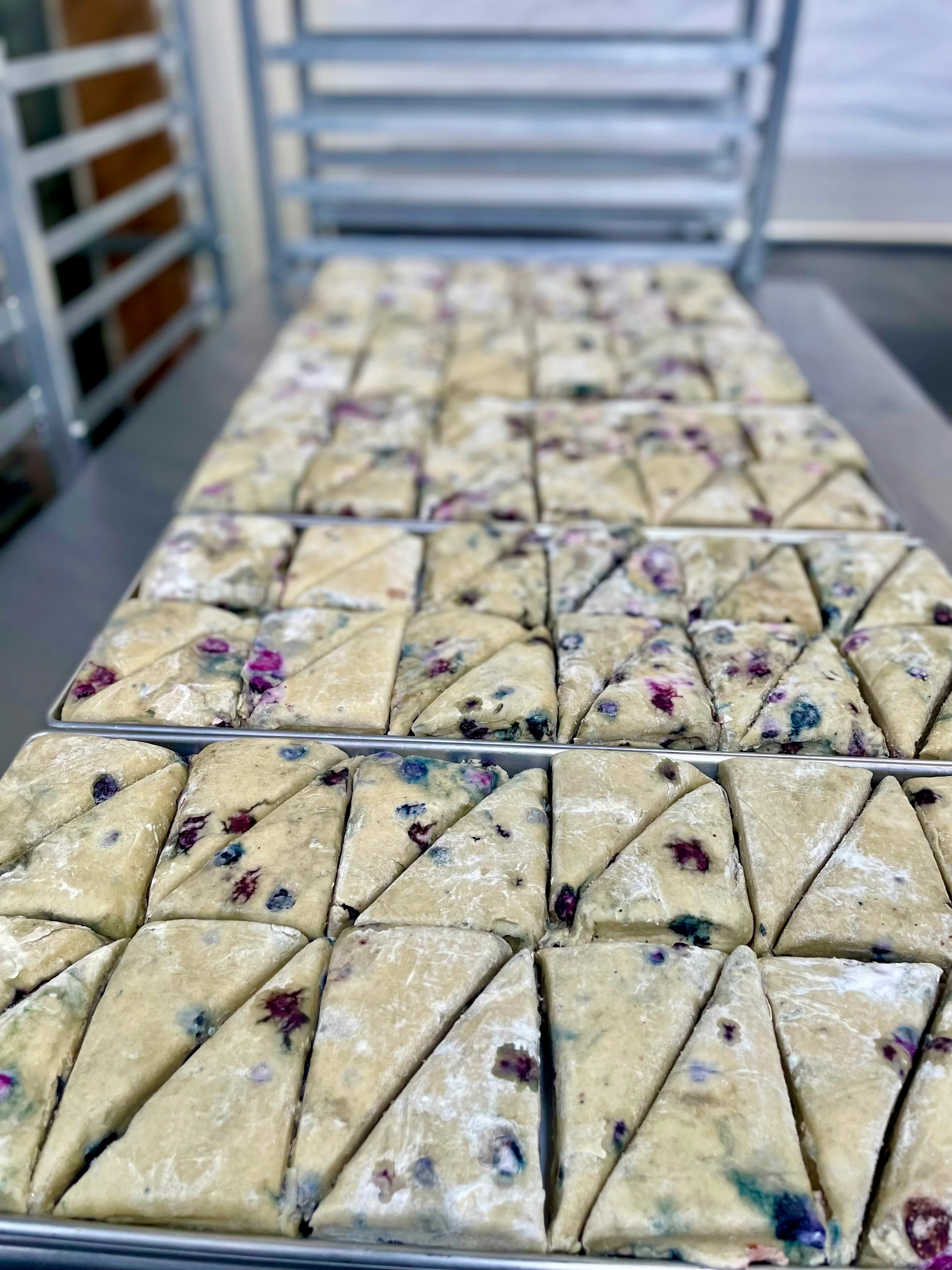 Freeze Dried Ready To Bake Blueberry Scones - Image 5