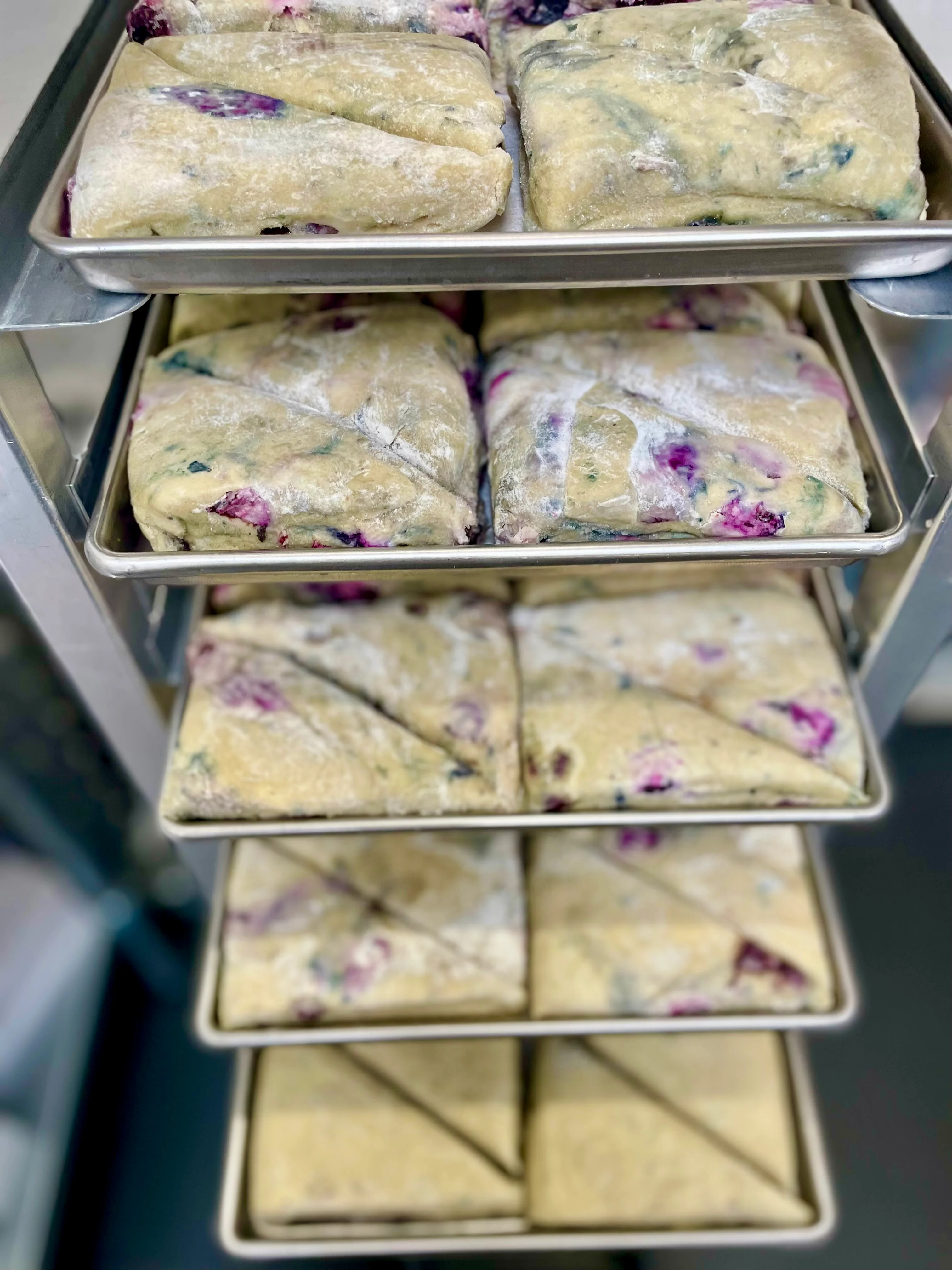 Freeze Dried Ready To Bake Blueberry Scones - Image 6