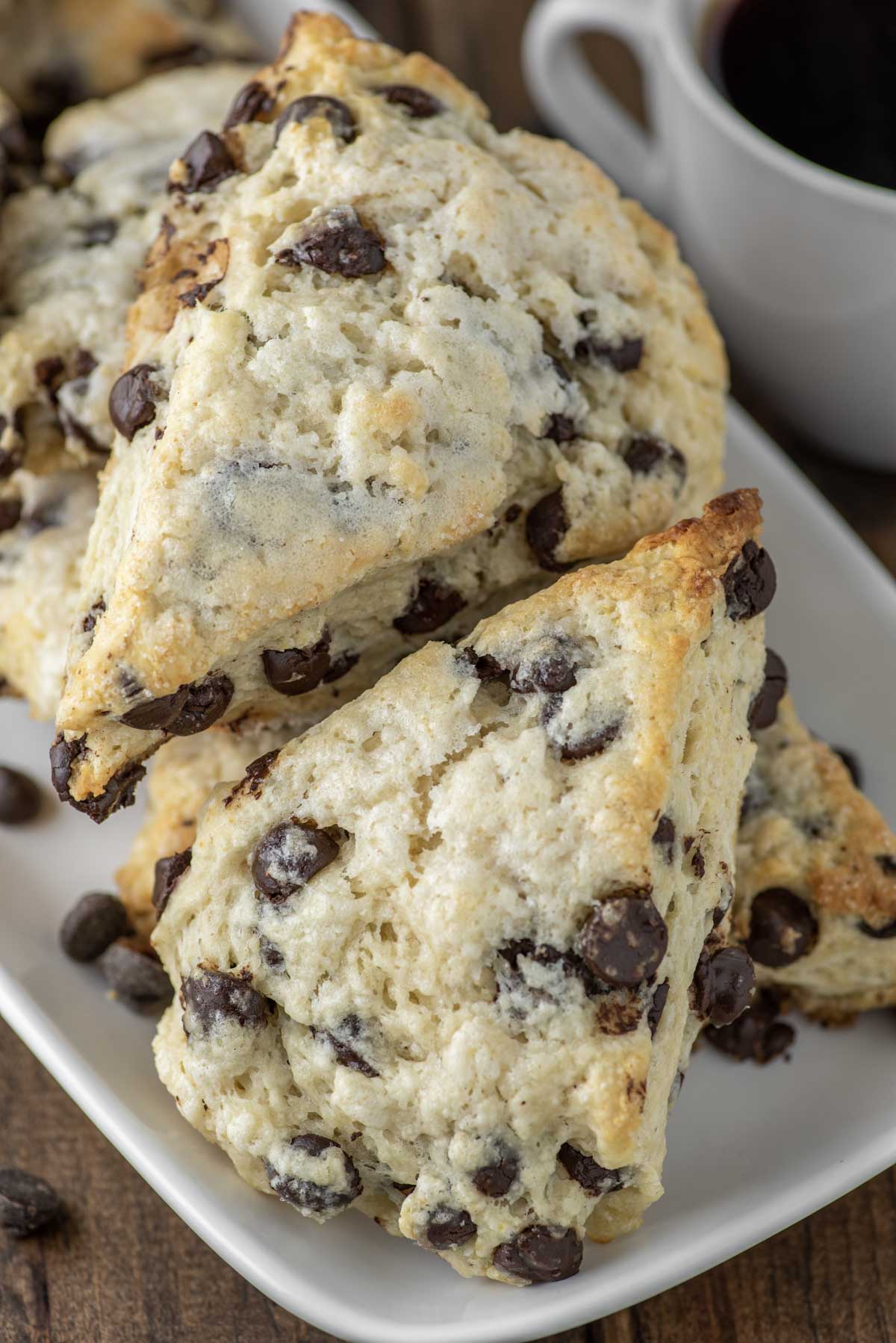 Freeze Dried Ready To Bake Chocolate Chip Scones