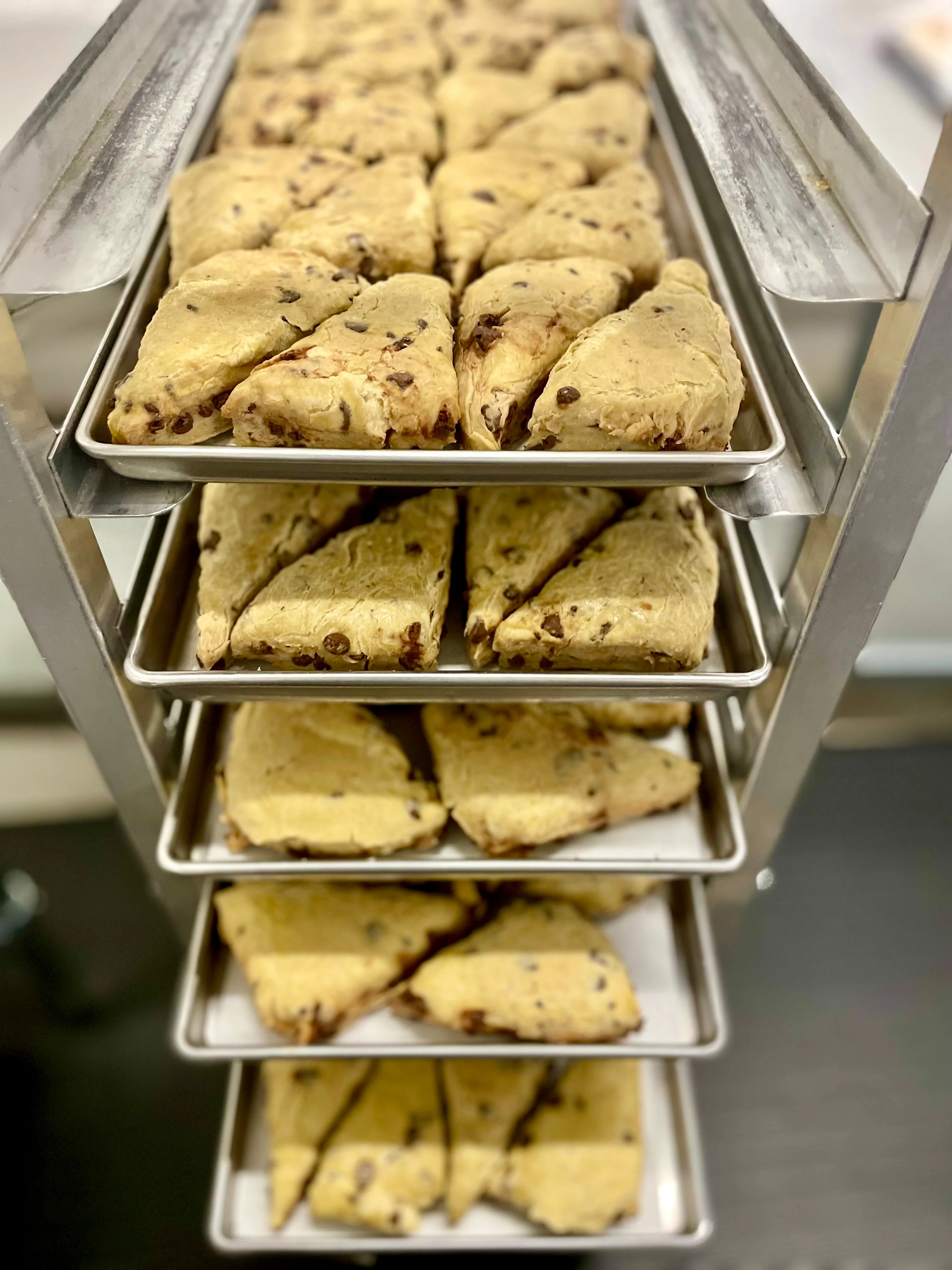 Freeze Dried Ready To Bake Chocolate Chip Scones - Image 6