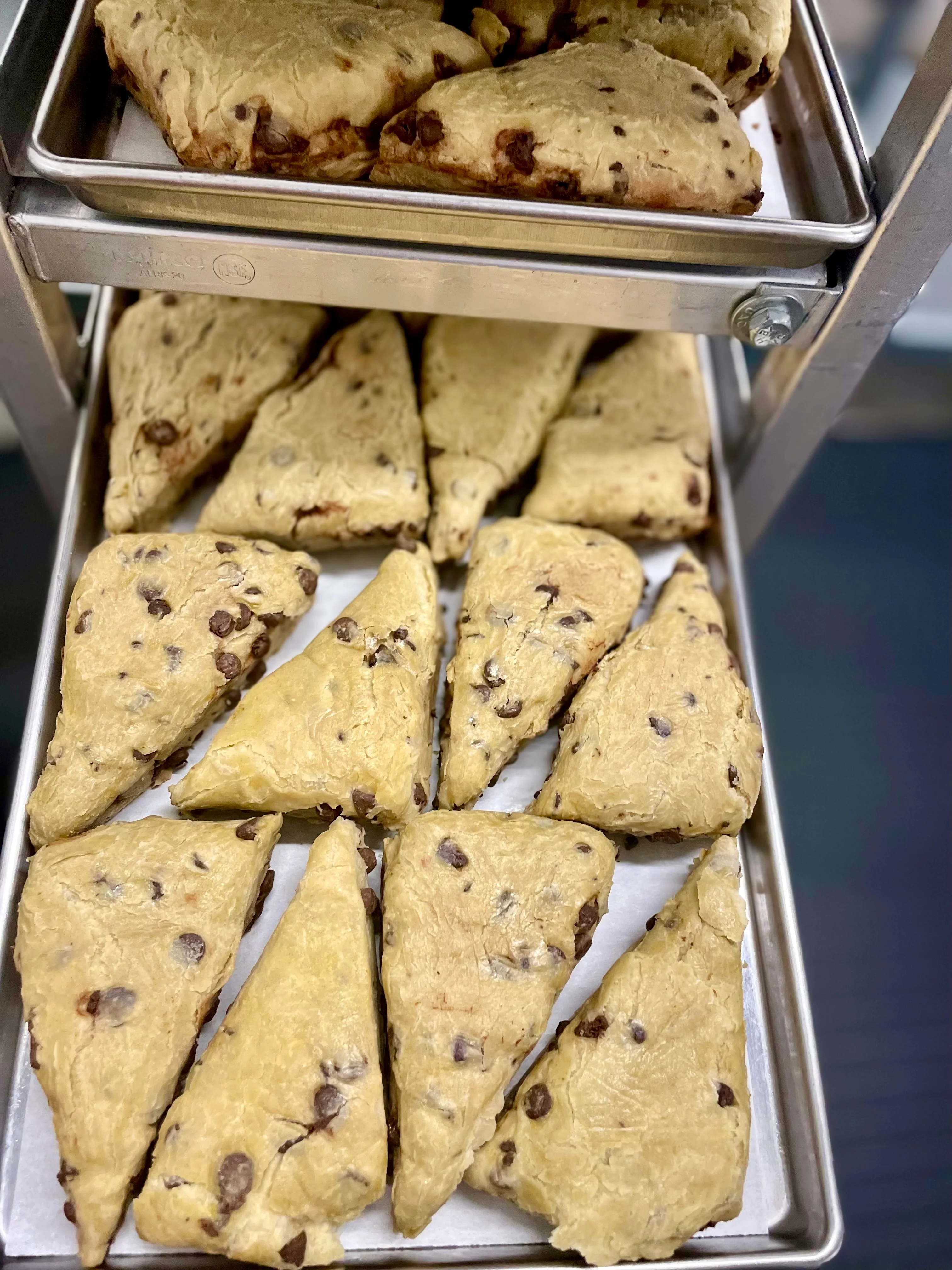 Freeze Dried Ready To Bake Chocolate Chip Scones - Image 7