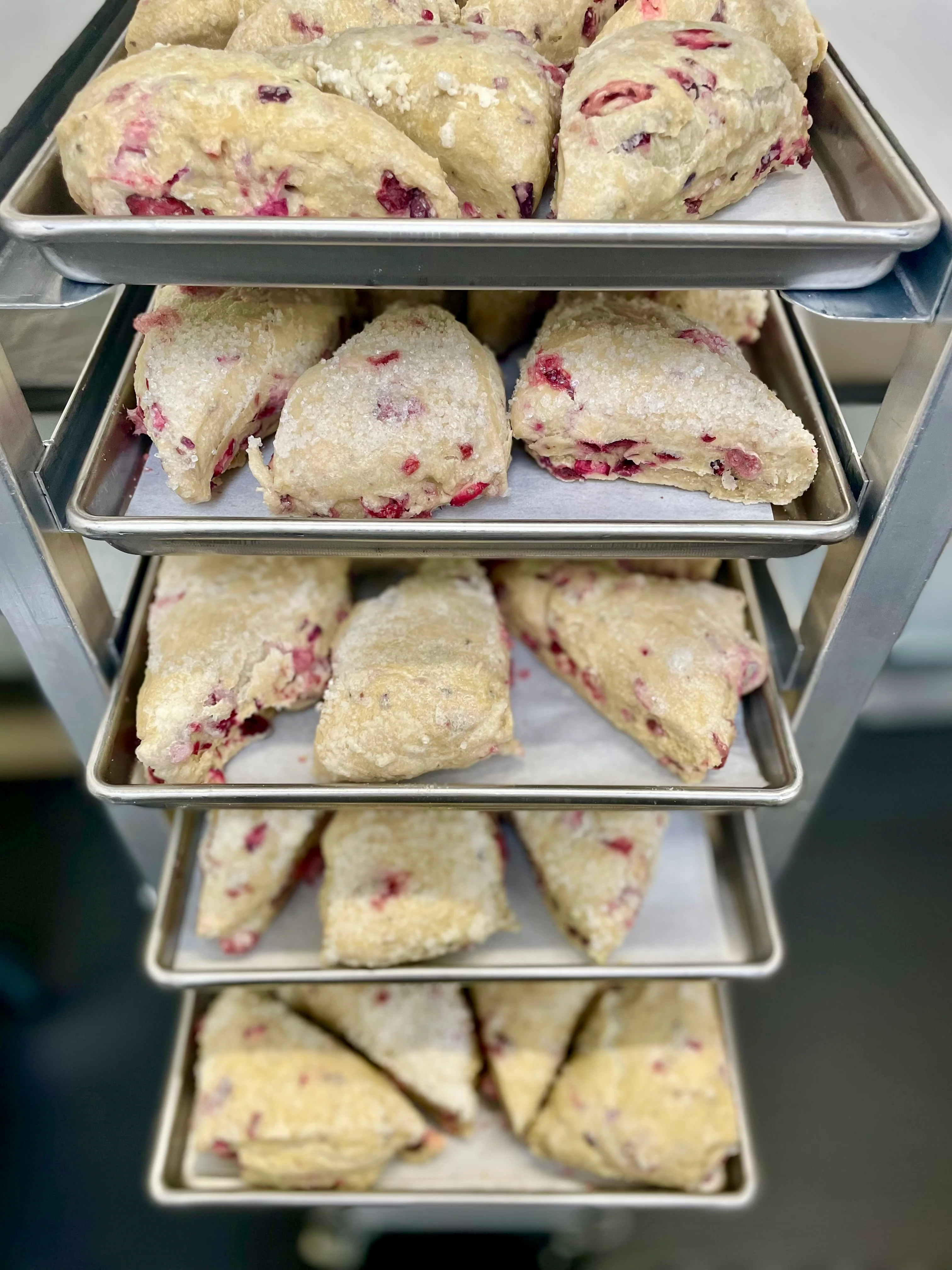 Freeze Dried Ready To Bake Cranberry Orange Scones - Image 6