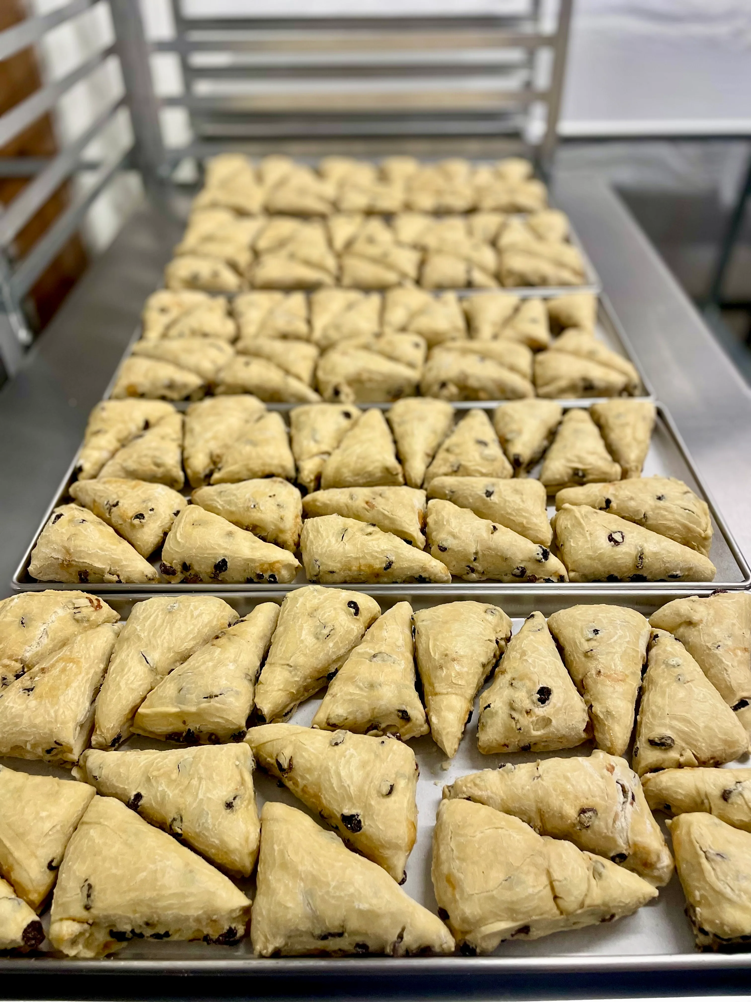 Freeze Dried Ready To Bake Raisin Scones - Image 5