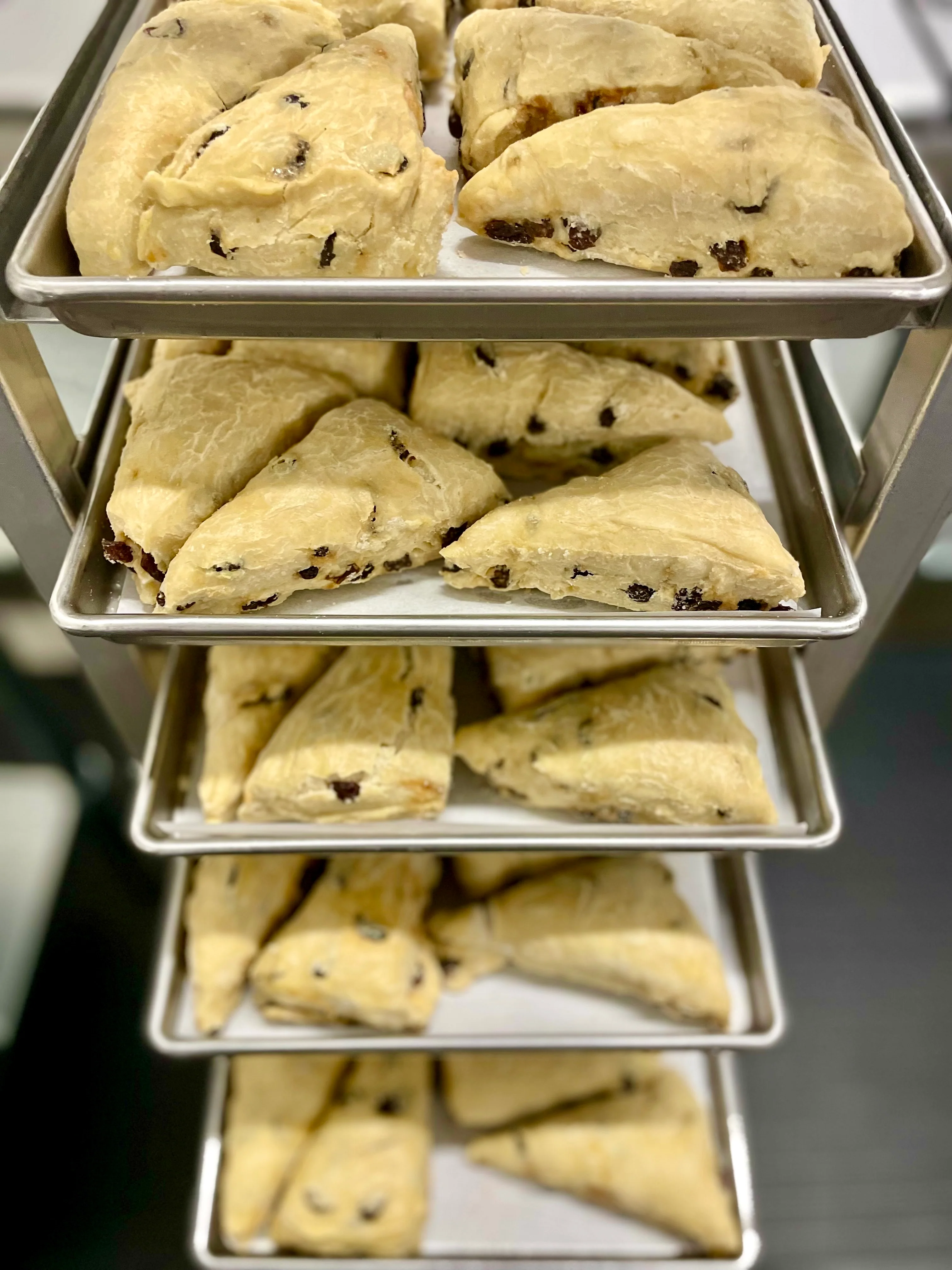 Freeze Dried Ready To Bake Raisin Scones - Image 6
