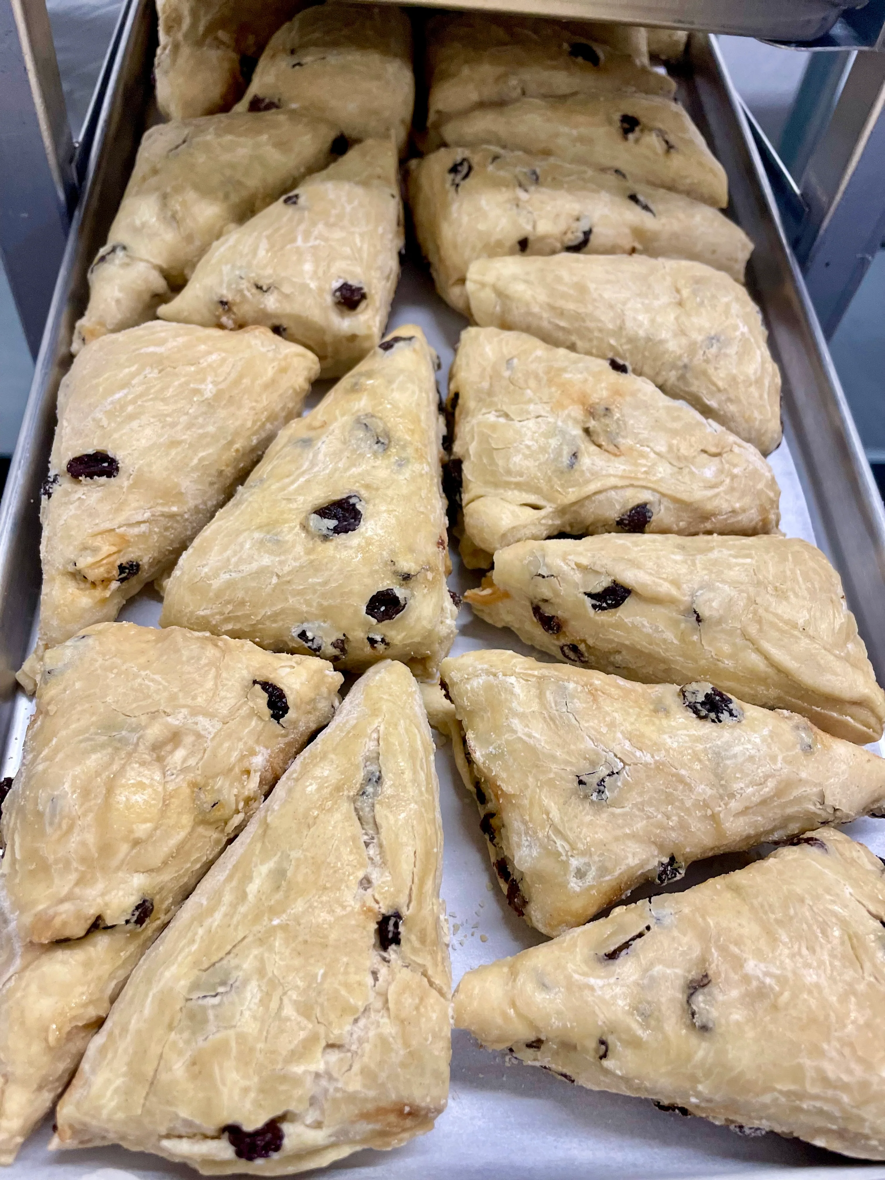 Freeze Dried Ready To Bake Raisin Scones - Image 7